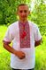 Чоловіча вишиванка "Федір" короткий рукав, Сорочкова тканина, 37, Червоний