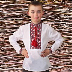 Вышиванка детская для мальчика "Даниил" с Красной вышивкой, 122 (рост)