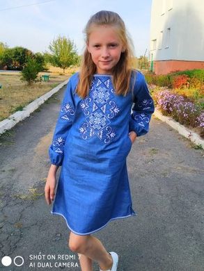 Детское вышитое платье "Кира" , 122 (рост), 1