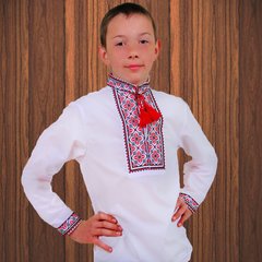 Вишиванка дитяча для хлопчика "Руслан" з Червоною вишивкою, 104 (ріст)
