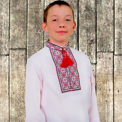 Вышиванка детская для мальчика "Руслан" с Красной вышивкой, 104 (рост)