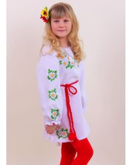 Дитяче вишите плаття "Ромашки", 116 (ріст)