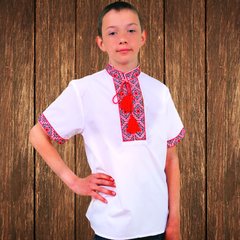 Вышиванка детская для мальчика "Федор" с Красной вышивкой (короткий рукав), 98 (рост)